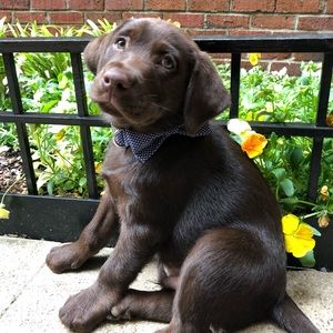 Meet your Posher, Kelsey